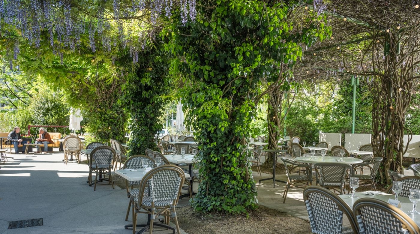 La terrasse sous la glycine