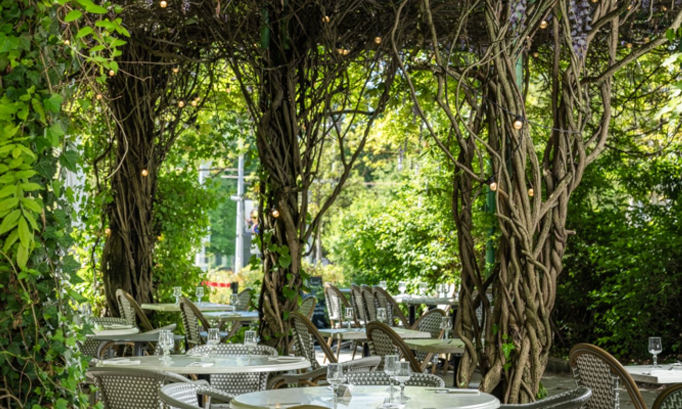 Dîner sous les guirlandes en terrasse